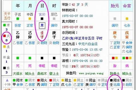 八字命盤五行 日課意思